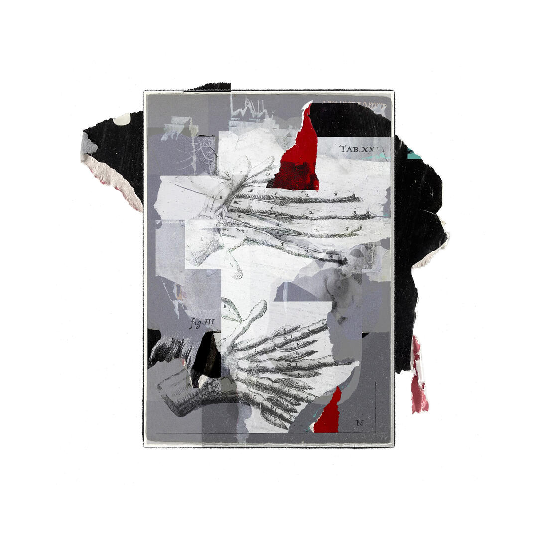 articulation point ii, 2022